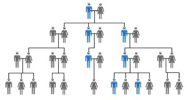 How  y-DNA is passed from generation to generation: